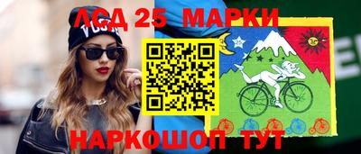 гидропоника Обнинск