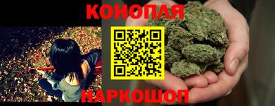 гидропоника Обнинск