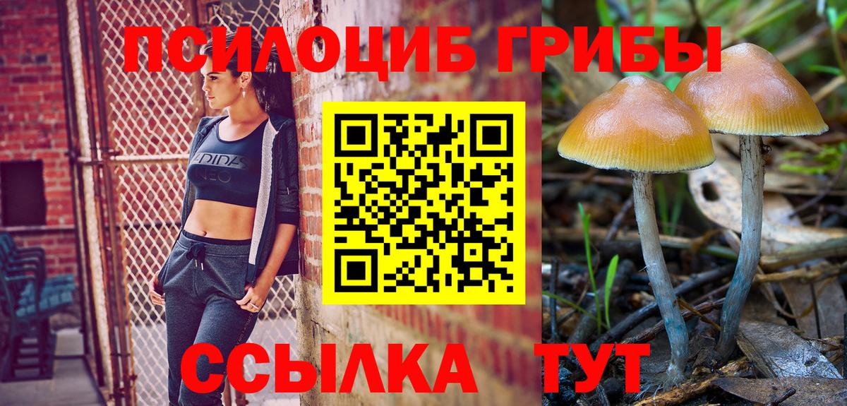 Галлюциногенные грибы Psilocybine cubensis  Псилоцибиновые грибы ЛСД  Вход с VPN  Псков 